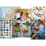 1000 Teile Puzzles (48 x 68 cm)