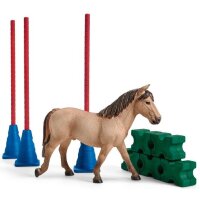 Schleich Horse Club (Sets und Zubehör)