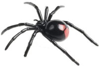 Animals of Australia - Spinnen / Insekten