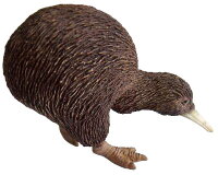 Animals of Australia - Vögel