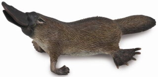 CollectA 88795 - Platypus