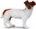 CollectA 88080 - Jack Russel Terrier