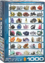 eurographics 6000-2008 - Minerals (Puzzle with 1000 pieces)