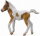 CollectA 88735 - Dartmoor Foal (Palomino Pinto)