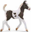 CollectA 88781 - Curly Foal (Brown Pinto)