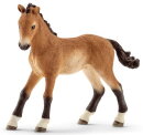 Schleich Horse Club 72116 - Besuch im Offenstall (Sonderedition)