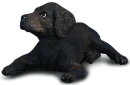 CollectA 88077 - Labrador Retriever Puppy