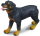 CollectA 88189 - Rottweiler