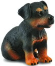 CollectA 88190 - Rottweiler Puppy
