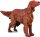CollectA 88068 - Irish Red Setter