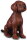 CollectA 88069 - Irish Red Setter Puppy