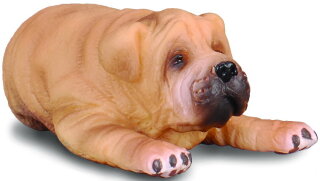 CollectA 88194 - Shar-Pei Welpe
