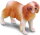 CollectA 88181 - Cavalier King Charles Spaniel