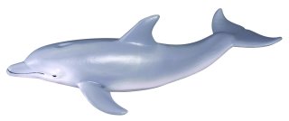 CollectA Killer Whale / Orca Figurine – Marine Life Model Toy 88043