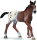 Schleich 13733 - Appaloosa Fohlen