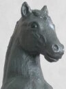 Black Lipizzaner - SR