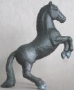 Black Lipizzaner - SR