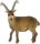 Bullyland 62755 - Ibex (Paint Flaws)