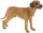 Bullyland 65442 - Rhodesian Ridgeback Nelson