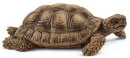 Schleich 42506 - Zuhause für Schildkröten