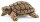 Schleich 42506 - Zuhause für Schildkröten