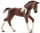 Schleich 13758 - Trakehner Foal