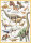eurographics 6000-0099 - Dinosuars of the Jurassic (Puzzle with 1000 pieces)