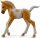 CollectA 88668 - Pinto Palomino Foal walking