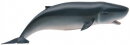 CollectA 88653 - Pygmy Sperm Whale