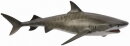 CollectA 88661 - Tiger Shark