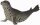 CollectA 88658 - Largha-Robbe