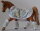 MPV Warmblood Shipping Set -blue and green muttons -
