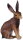 CollectA 88012 - Brown Hare