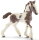 Schleich 13774 - Tinker Foal