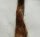 Mohair brown 25gr