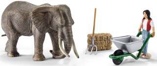 Schleich 41409 - Set Elefantenpflege