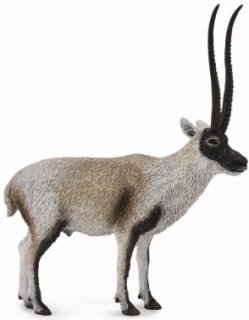 CollectA 88721 - Chiru (Tibetan Antelope)