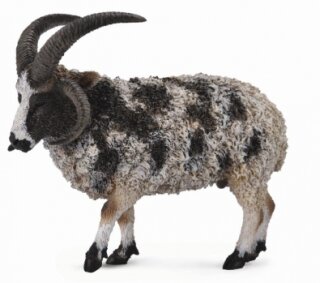 CollectA 88728 - Jakobschaf
