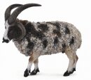 CollectA 88728 - Jacob sheep