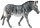 CollectA 88773 - Grevys Zebra