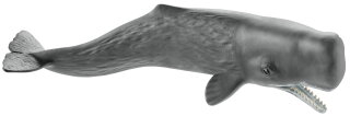 Schleich 14764 - Sperm Whale