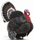 CollectA 88762 - Turkey