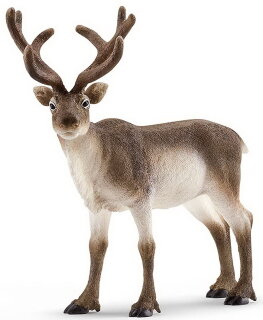 Schleich 14837 - Rentier