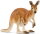 Schleich 14756 - Känguru