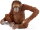 Schleich 14775 - Orangutan, female