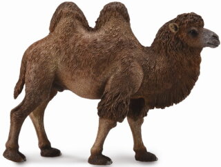 CollectA 88807 - Bactrian Camel