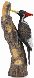 CollectA 88802 - Ivory-Billed Woodpecker