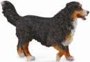 CollectA 88752 - Bernese Mountain Dog