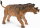 CollectA 88800 Deluxe (1:20) - Uintatherium