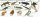 CollectA Box A1104 - Mini Prehistoric Marine Animals